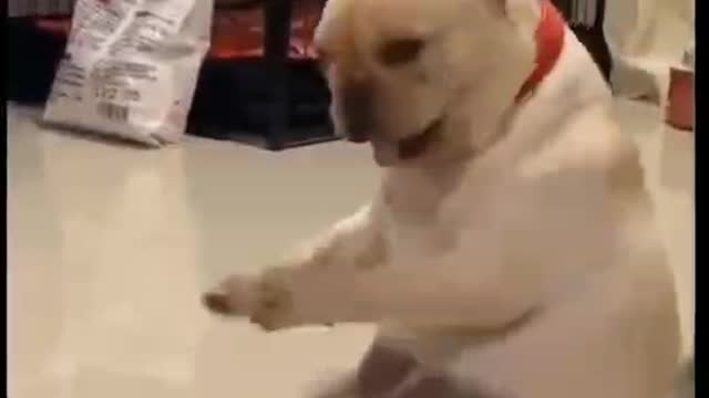 Music with head shake