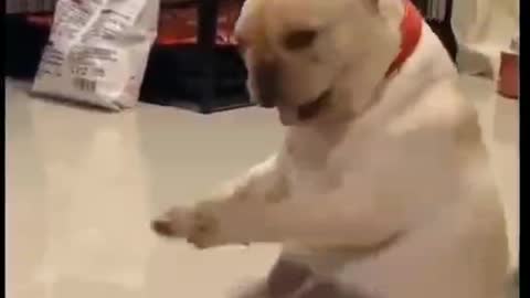 Music with head shake