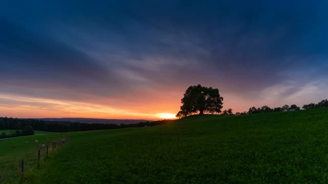 Time Lapse Video Sunset Of Cows In A Pasture ~ Wow!