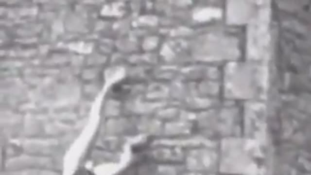 Don't watch this video at night!!