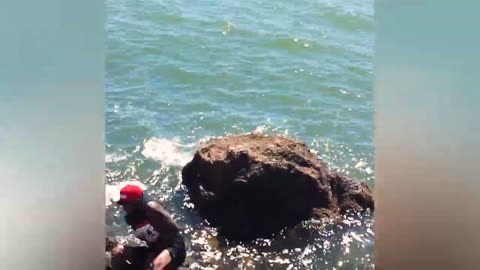Try Not To Laugh Funny Videos - Best Fail Of The Week