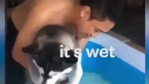 Cute 😍 dog