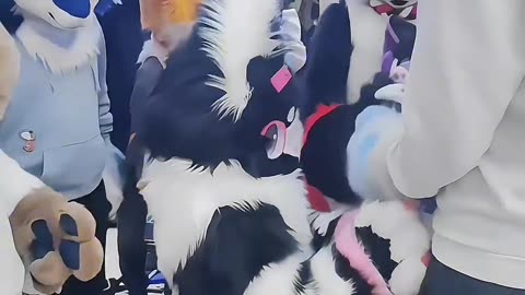 Furry Douyin #52