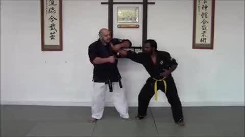 Aiki Jitsu