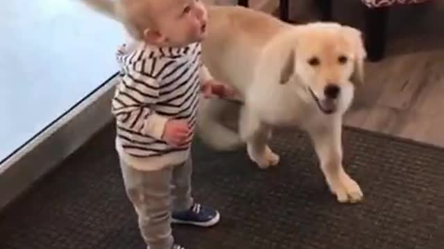 The dog and baby too cute that love 😍