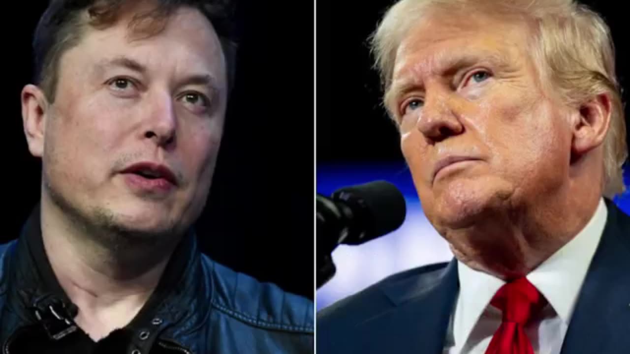 Trump Backs Elon Musk for Government Efficiency Role | Exclusive Interview