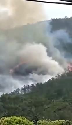 A China Eastern Boeing 737 passenger plane crashed in southern China.