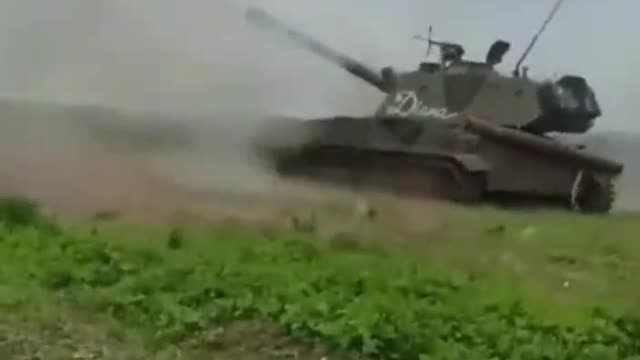 🇺🇦Diana sends greetings to the occupants!