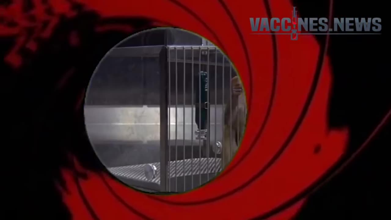 How vaccines are made