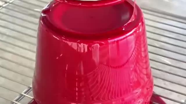 CANDY DISPENSER!