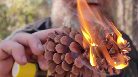 PINE CONES can be a great Firestarter