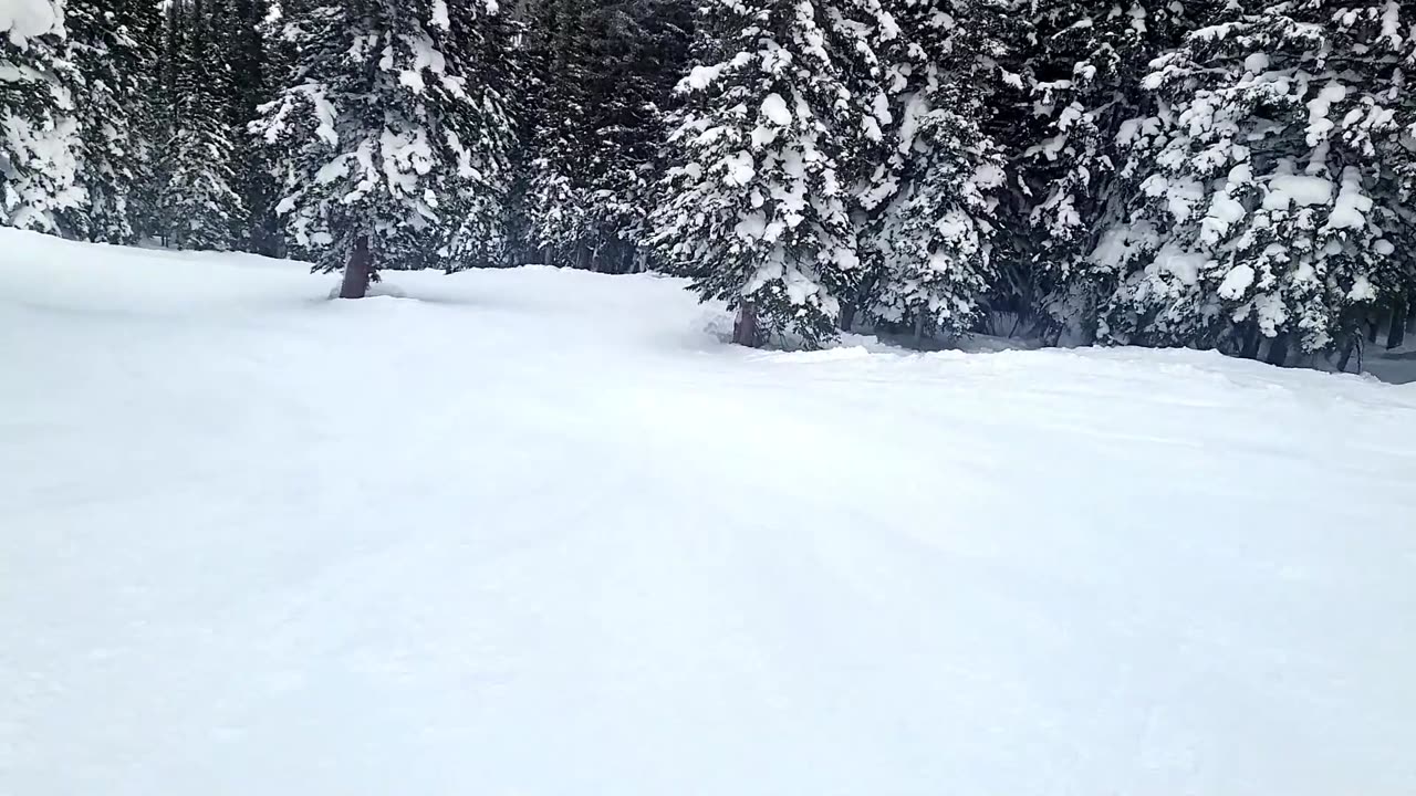 Ski Day POV - Carving Sounds