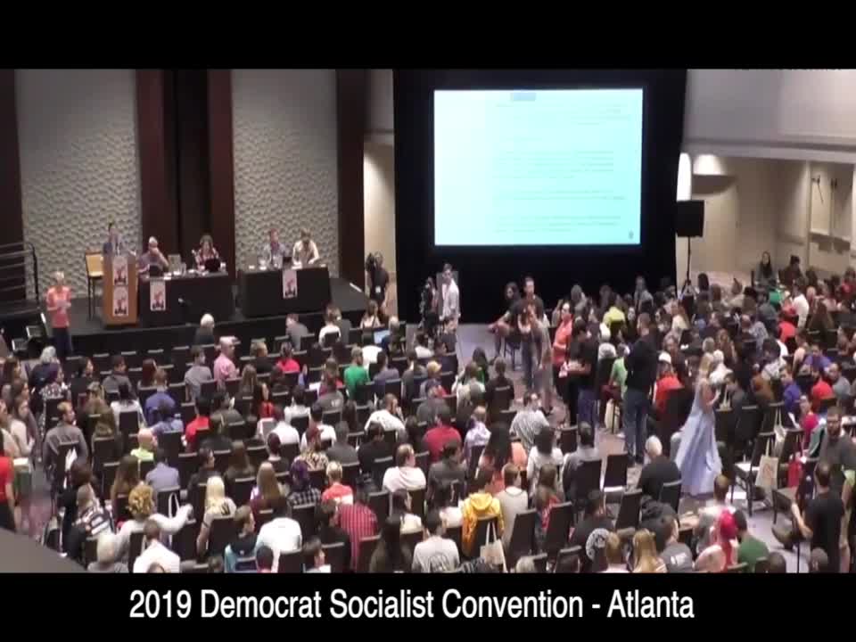 Democrats in 2020 and beyond