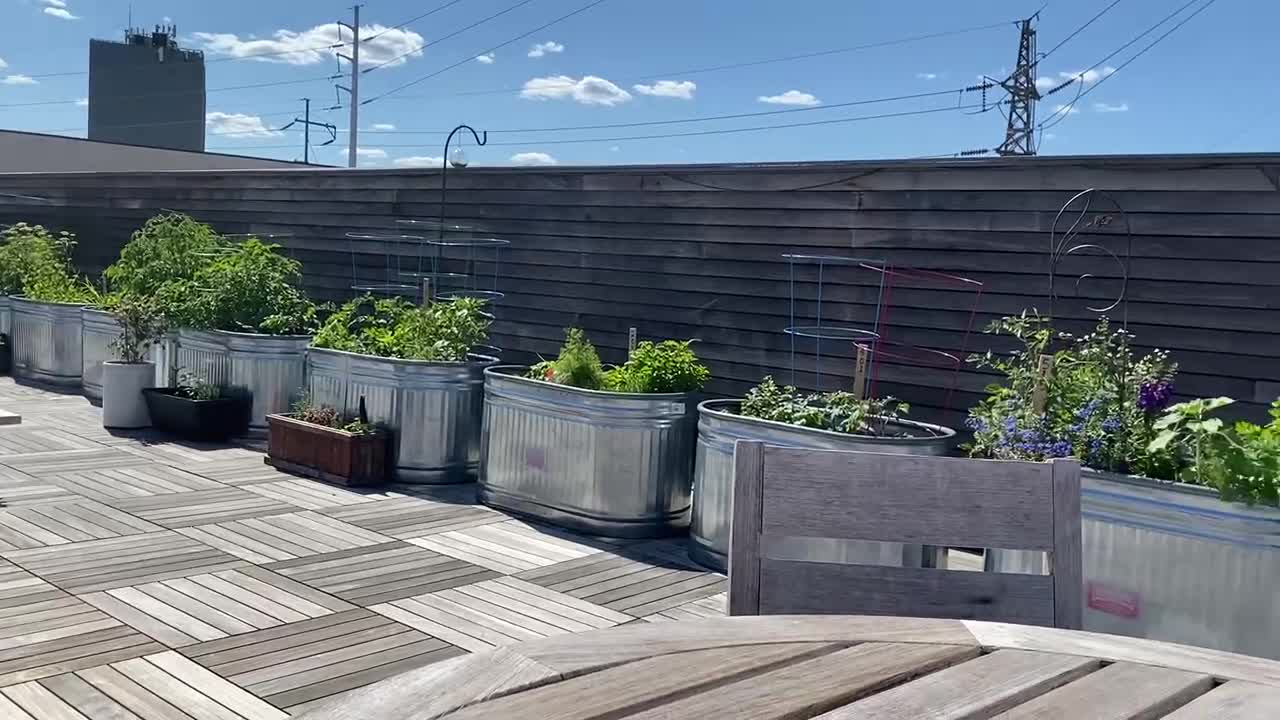 Rooftop garden