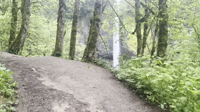 Exploring Lower Latourell Falls Lookout Area – Columbia River Gorge – Oregon – 4K