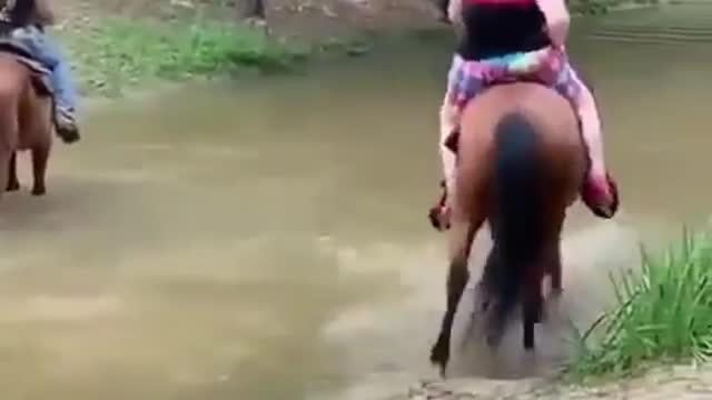 Poor Horse LOL 🦄🐴🐴