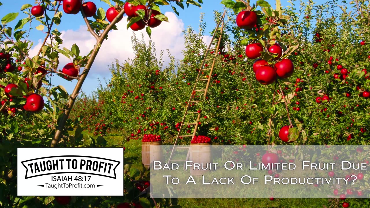 Bad Fruit Or Limited Fruit Due To Lack Of Productivity？