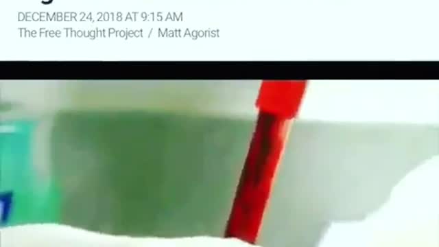 Mockingbird Media Now Openly Reporting Elites Lining Up To Ingest Blood of Children