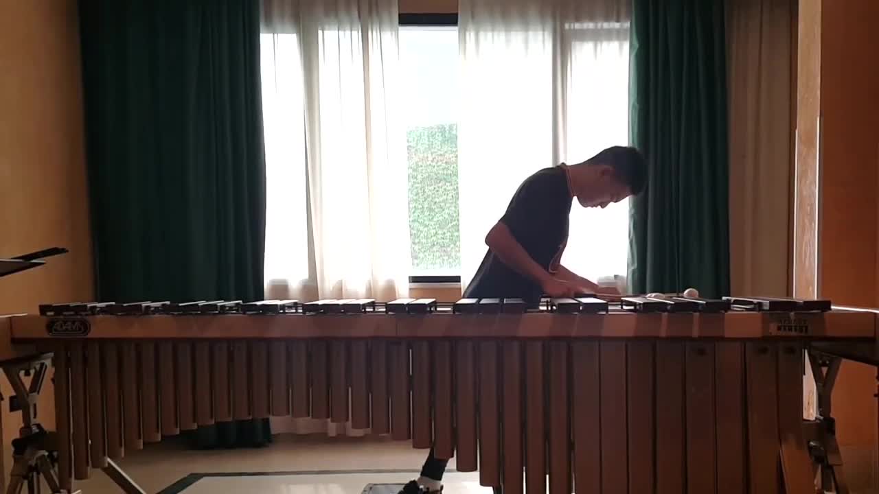 Ed Sheeran - Perfect Marimba cover