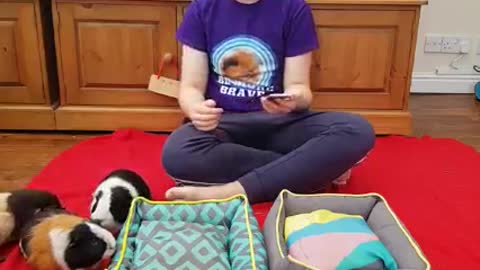 Ready for Eddie? 😁