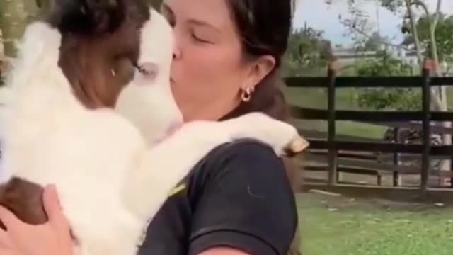Girl loves her BABY HORSE a lot