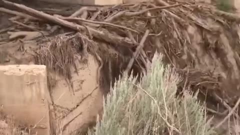#video best video# cool