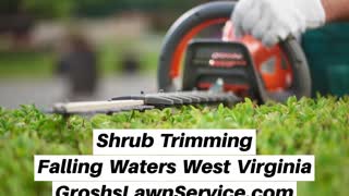 Shrub Trimming Falling Waters West Virginia Landscaping Contractor