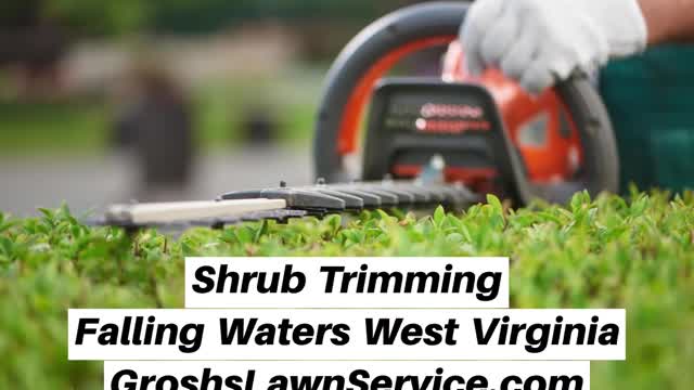 Shrub Trimming Falling Waters West Virginia Landscaping Contractor