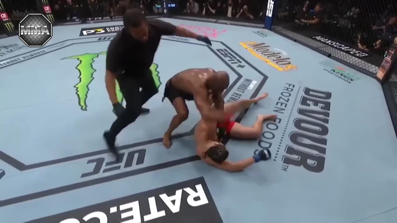 50 Most Brutal Knockouts Ever in UFC - MMA Fighter