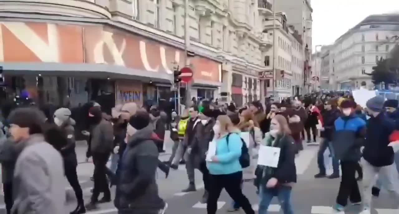 Protest in Vienna, police marching with the people Jan 30th weekend