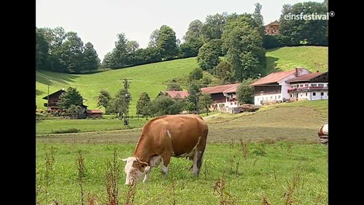 sdl folge 21