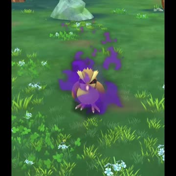 Pokémon GO-Shadow Pidgey