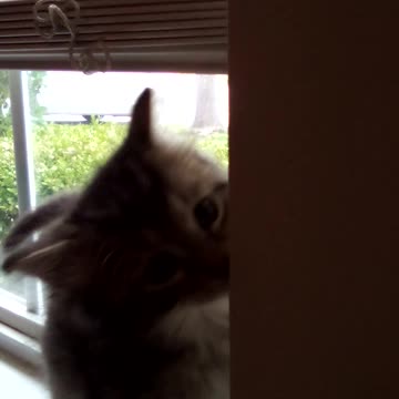 Theo. 6 week + 3days old