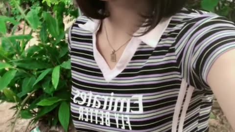 ladyboy are beauty completely