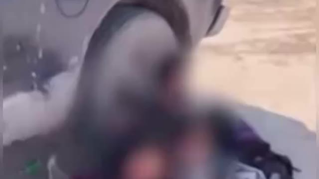 American Ranchers abandoned by their government.