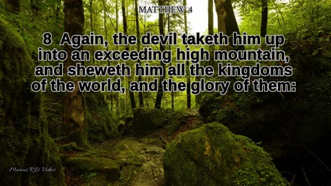 The Gospel of Matthew Chapter 4