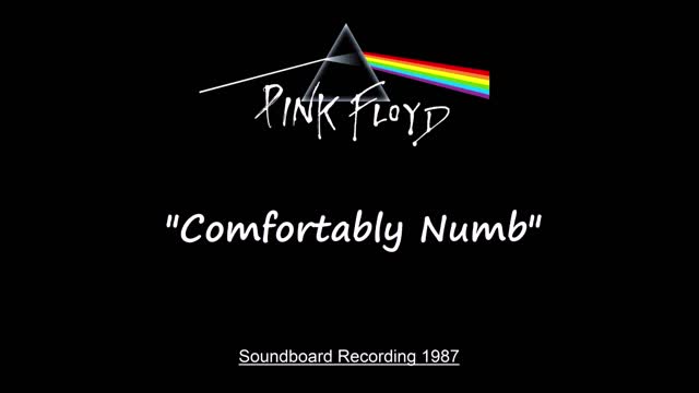 Pink Floyd - Comfortably Numb (Live in Miami, Florida 1987) Soundboard