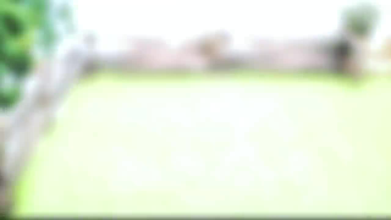 Funny Chicken ★ ULTIMATE Funny CHICKEN Compilation (HD) -8