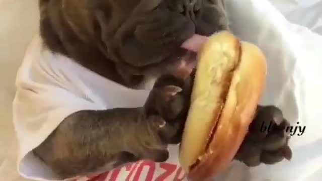 This hamburger has no meat