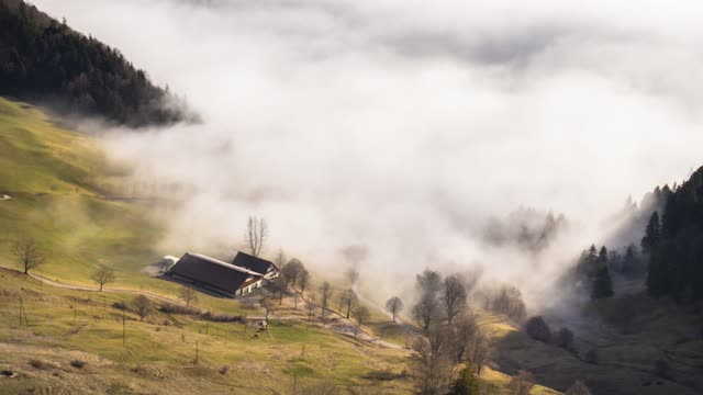 Brouillard Maison