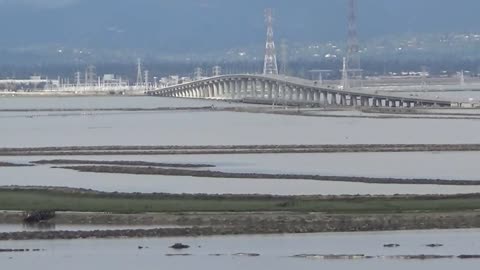 Fremont, CA — Don Edwards San Francisco Bay National Wildlife Refuge