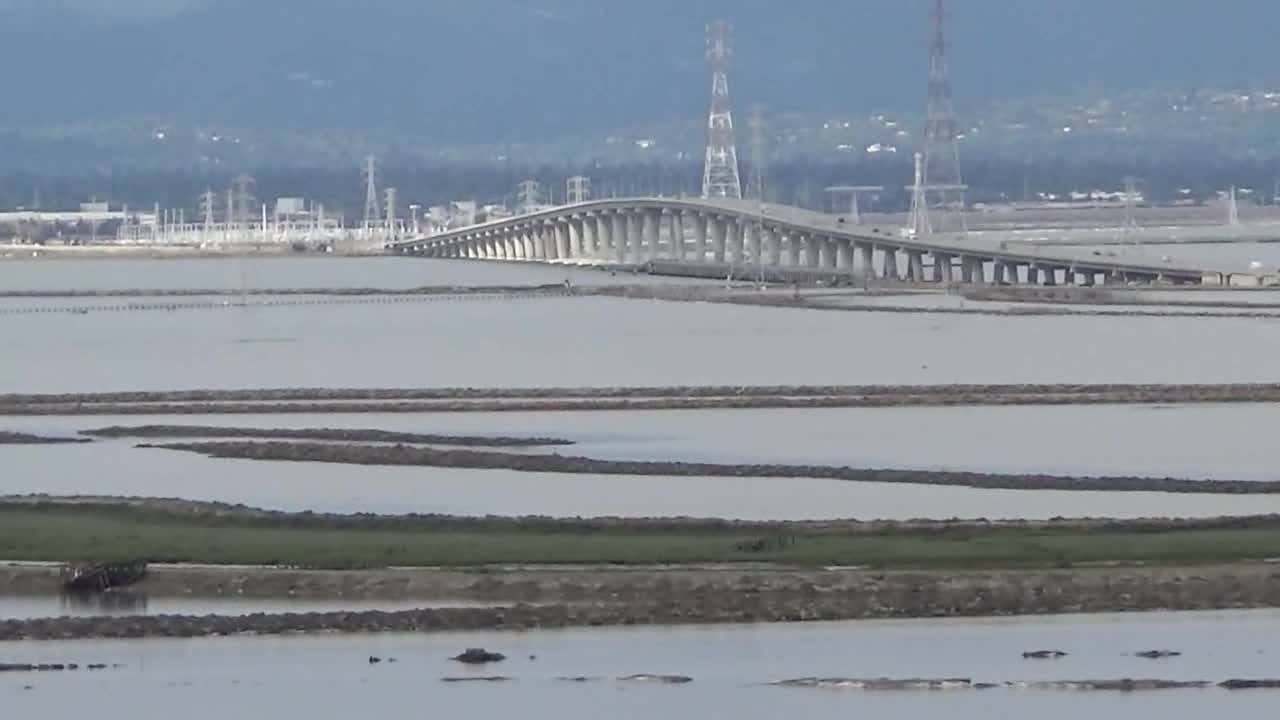 Fremont, CA — Don Edwards San Francisco Bay National Wildlife Refuge