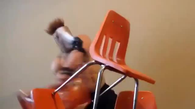 Bodybuilder With Horse Head Mask Hilariously Throws Himself on Chairs After Doing Split