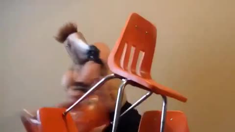 Bodybuilder With Horse Head Mask Hilariously Throws Himself on Chairs After Doing Split