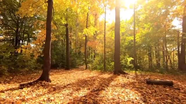 Relaxing Music for Sleep, Meditation and De-stress • "Flying" by Peder B. Helland