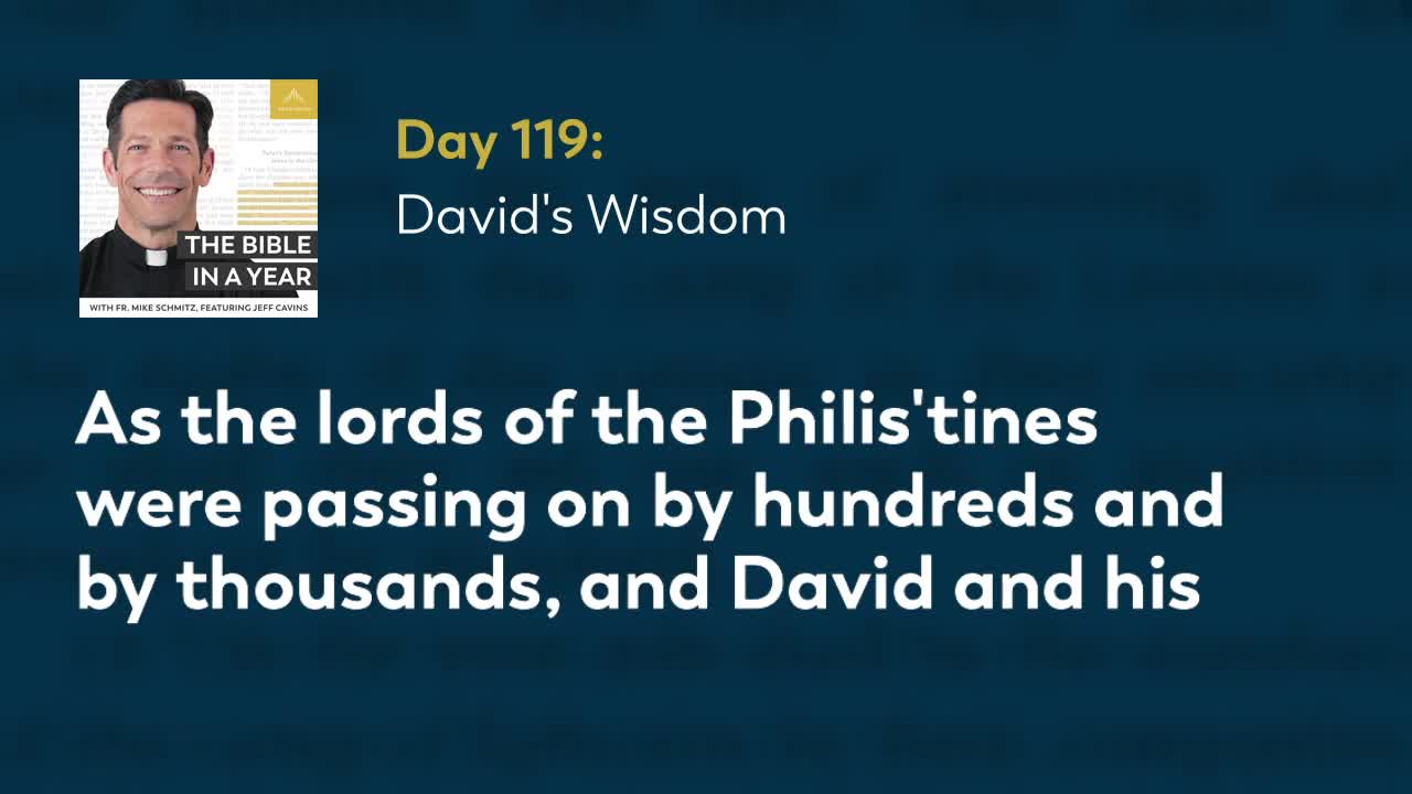 Day 119: David's Wisdom — The Bible in a Year (with Fr. Mike Schmitz)