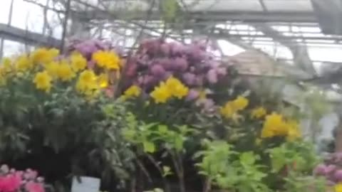 Amanda Grace Talks...The Garden Show!!! Adams Fairacre Farms Wappinger Falls, NY