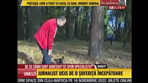 Mihai Nae @ Stirile Romania TV - Despre cazurile de agresivitate fata de stapan