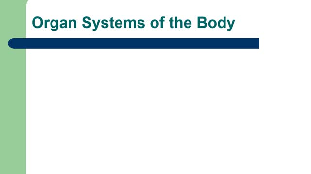 Lecture: Chapter 1: Anatomy Overview L1