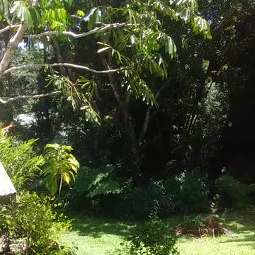 11.11.2024 Coondoo Street